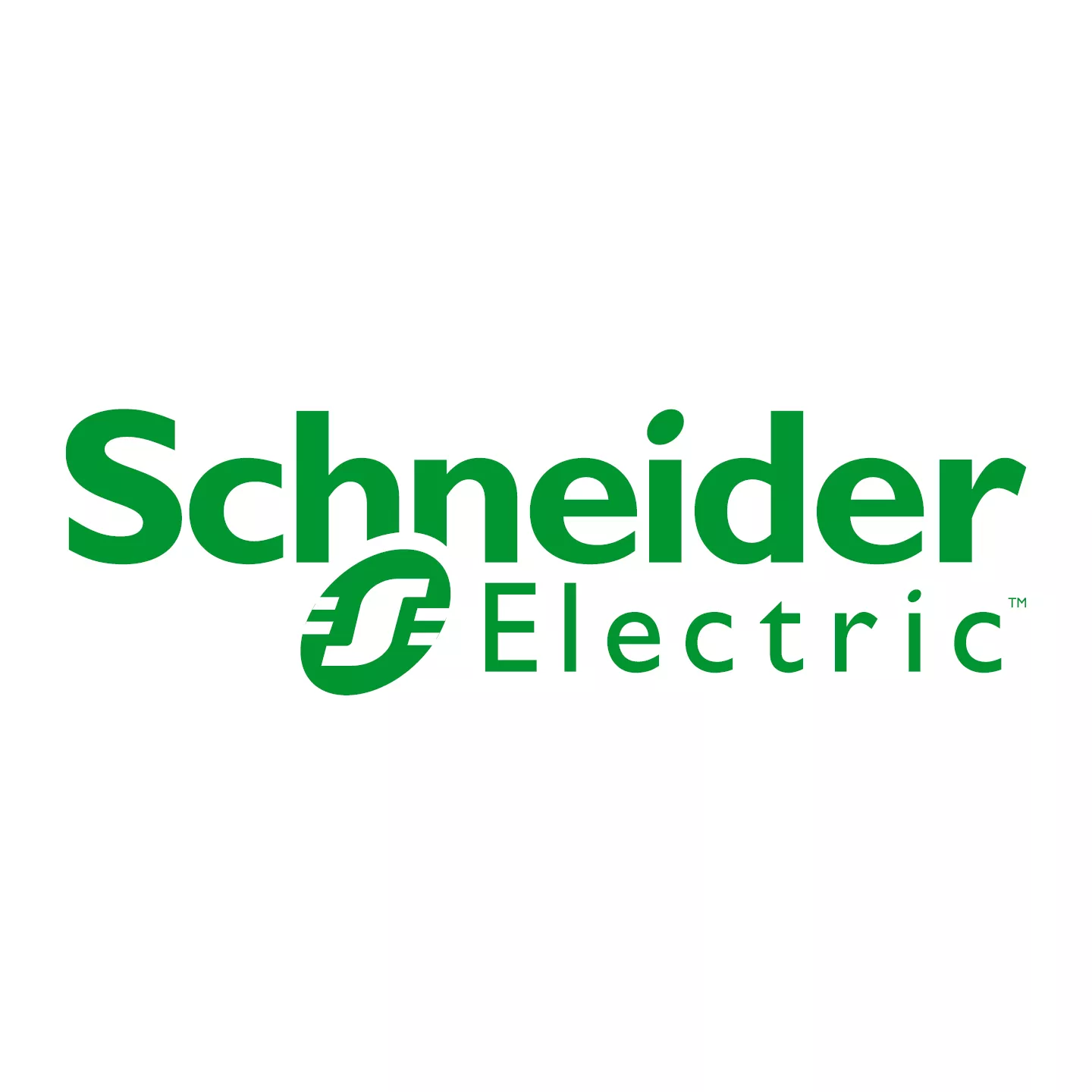 Logo_SQ_Schneider